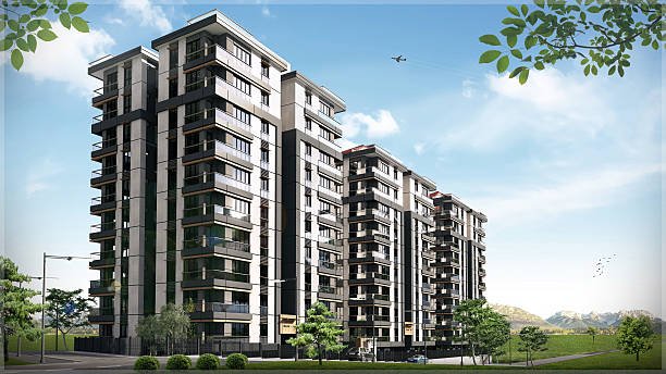 Anandahomes eucalyptus
