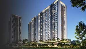 Harmony Homes