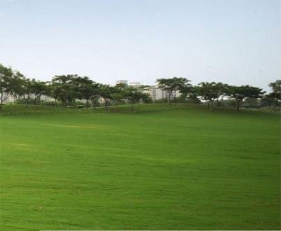 sree vensai health village