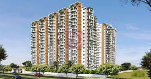 Jain Srikar Auroville