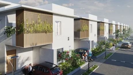 Sark South Meadows 1