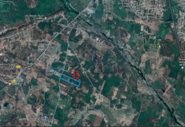 Sark North Meadows 1