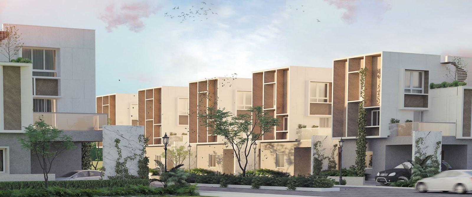 Sark Prime North Meadows