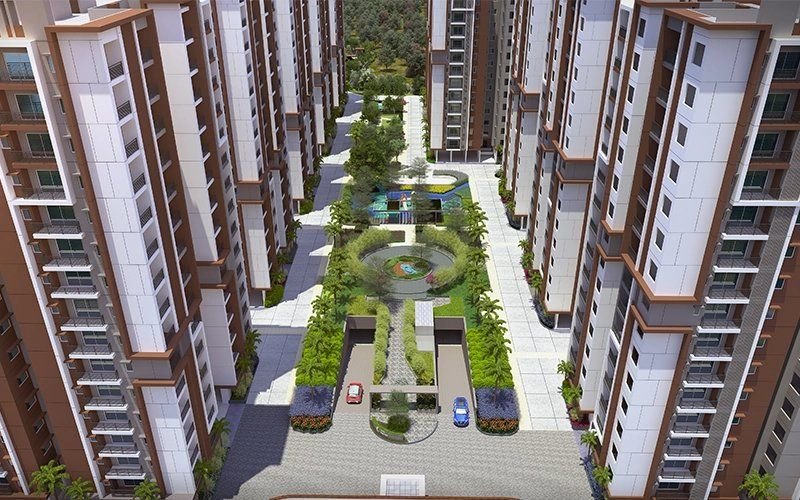 Aparna Kanopy YellowBell