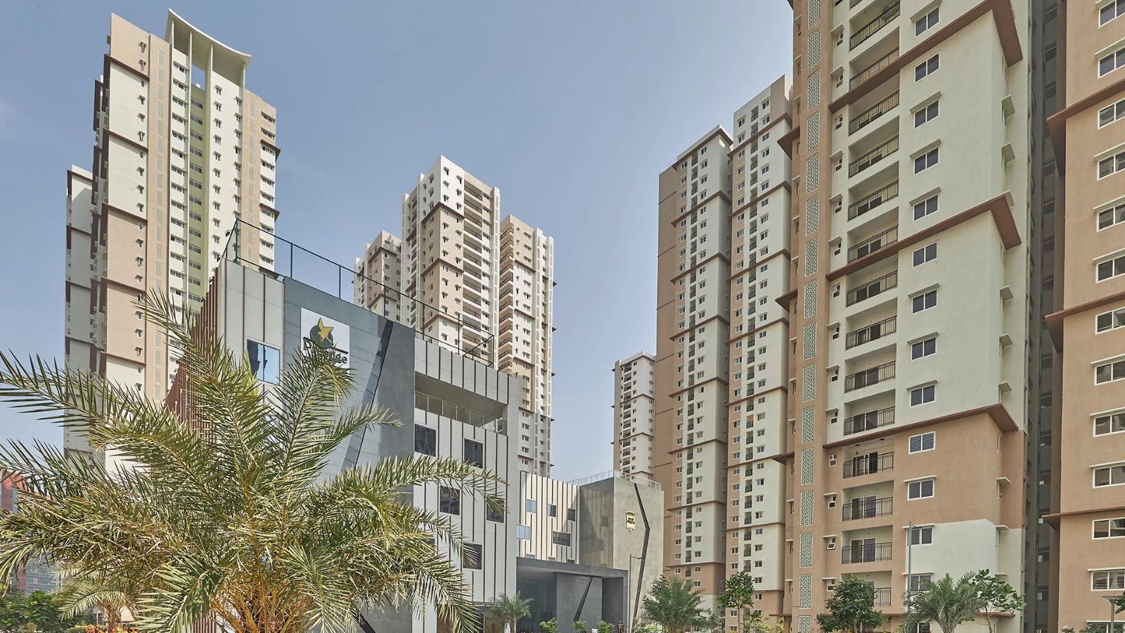 Prestige High Fields