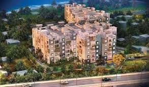 Jain Srikar Auroville