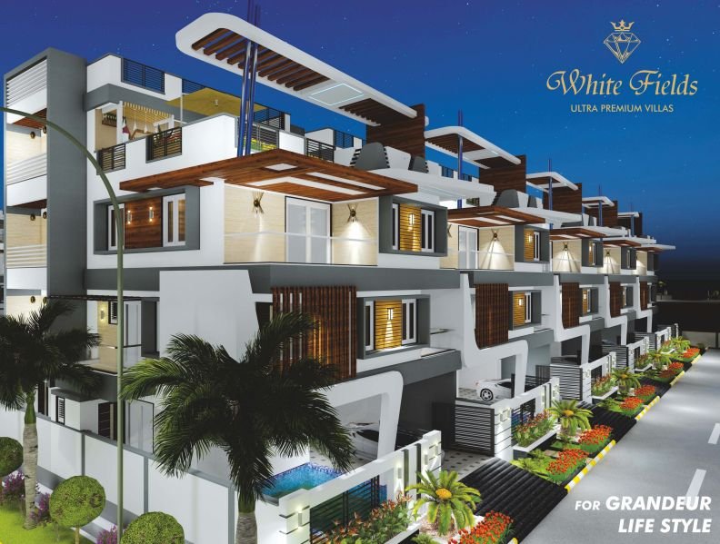 Virinchi & Kotari White Fields