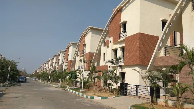 Vasudeva Bloomfield Ecstasy