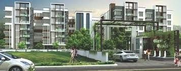 Shanta Sriram Blue Birds Habitat