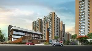 Aparna Kanopy Marigold