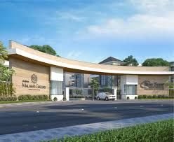 Om Sree Malabar Greens