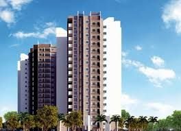 SMR Vinay Boulder Wood