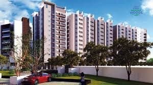 SMR Vinay Boulder Wood