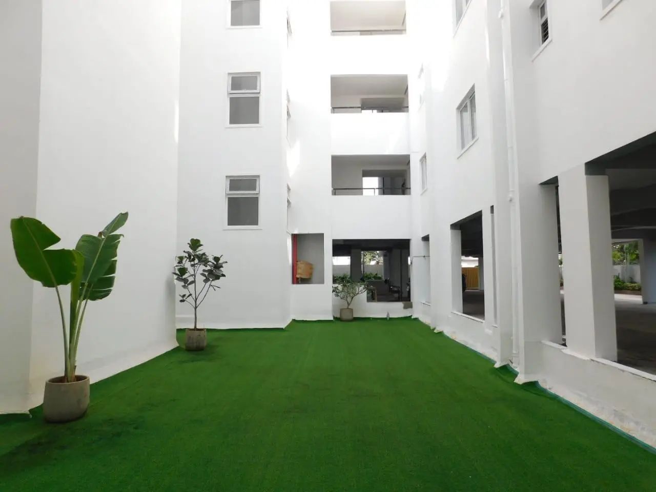 BGR Shweta Pearl