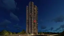 Myscape Palma