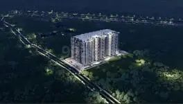 Riddhi S Taranto