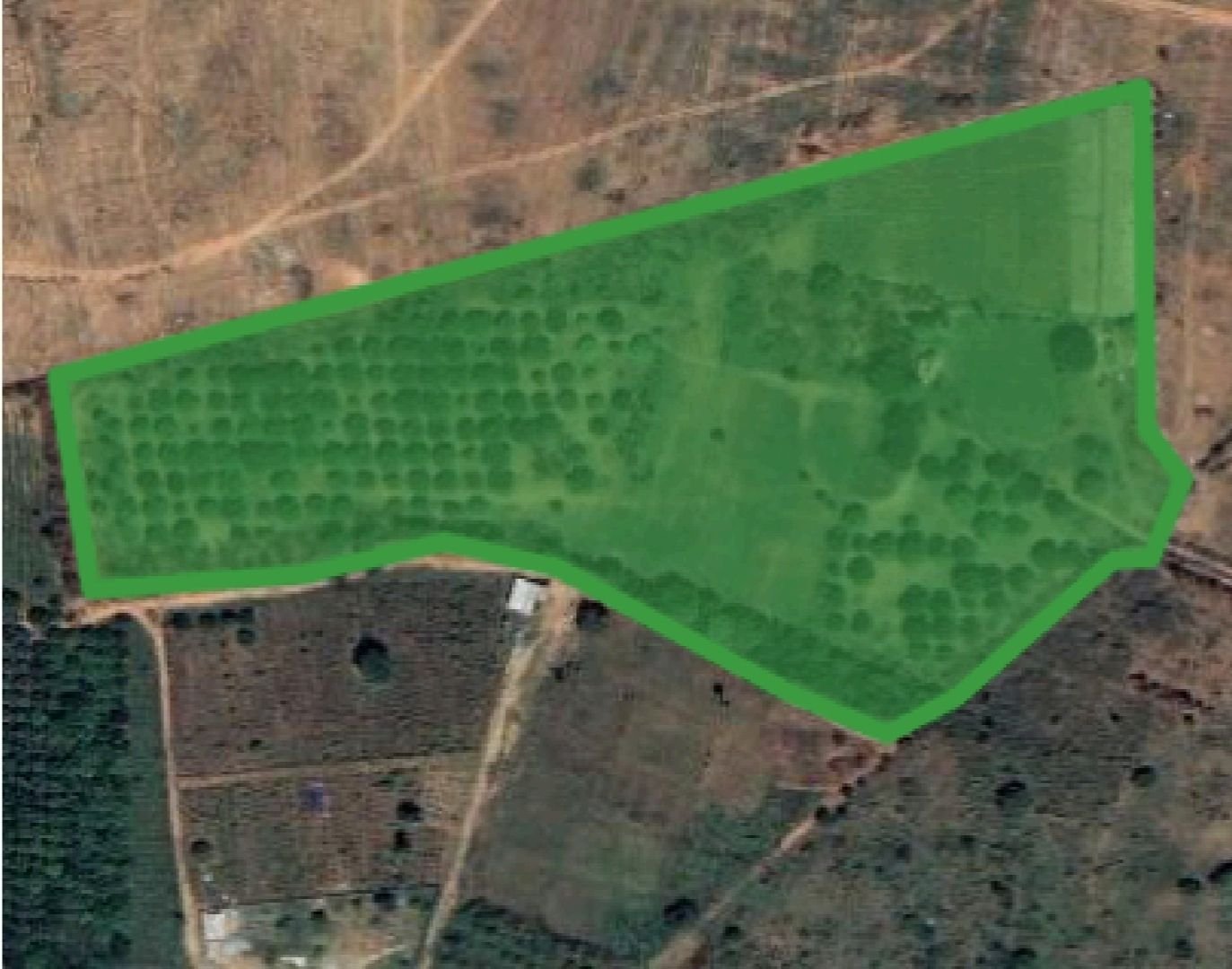 5 Acres Agricultural Land for Sale – Maheshwaram Mandal, Thummaloor